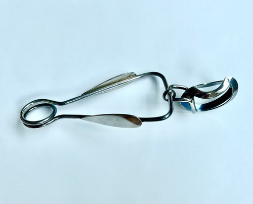 Vintage snail escargot - vintage, snail,
