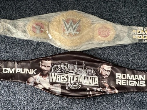Wwe punk roman reigns - wwe,