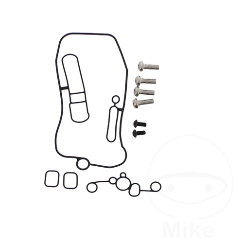 Tourmax carburettor repair kit - carburettor,
