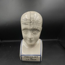 LN Fowler Vintage Porcelain Bust Antique Style Phrenology Head 11 Inches High