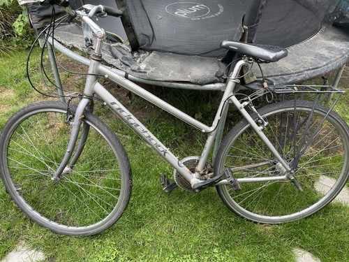 Ladies ridgeback velocity - ridgeback,