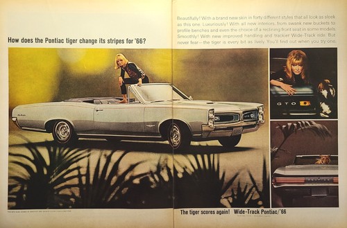 Pontiac gto convertible - '66,