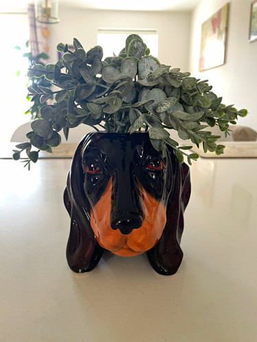 Glazed ceramic dachshund dog - dachshund,