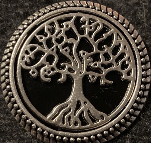 SILVER–T