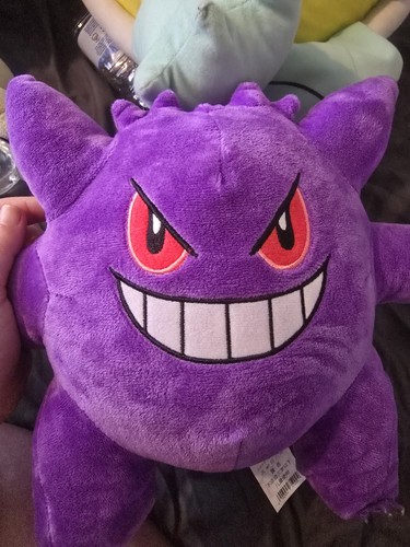 Large pokemon plush - plush, bunsle