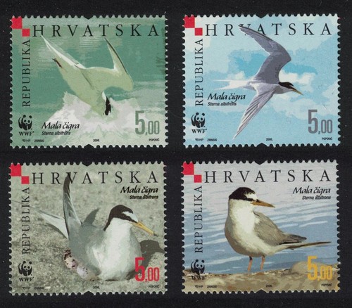 Croatia wwf birds little tern - croatia,