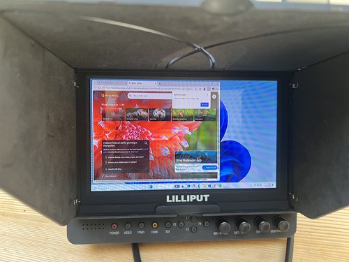 Lilliput 665 series - 665,