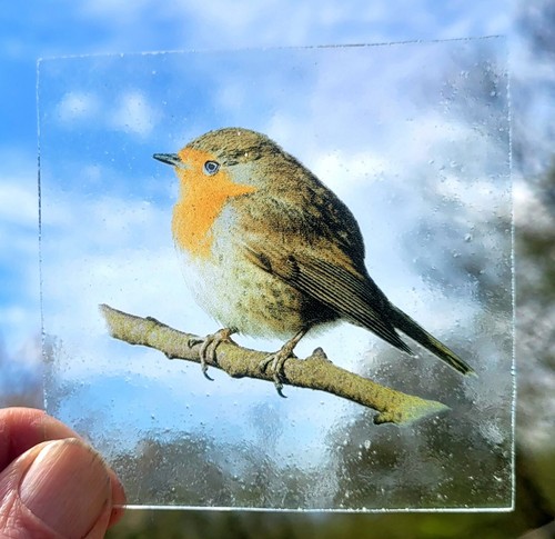 Stained glass robin bird - stained,