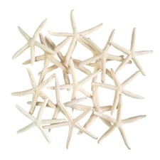 STARFISH Natural White Star
