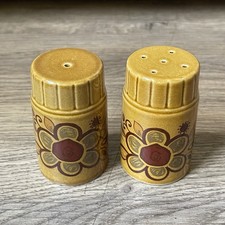 Vintage Royal Worcester Palissy Sierra Salt & Pepper Pots