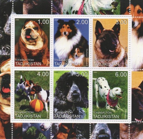 Bulldog shetland sheepdog - bulldog,