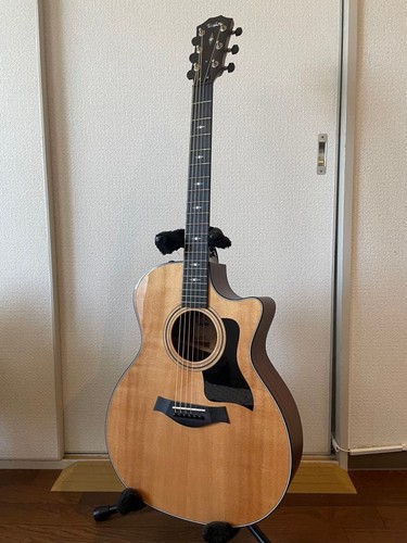 Taylor 314ce class acoustic - taylor,