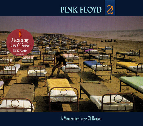 Pink floyd momentary lapse - floyd~a,