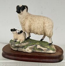 Beautiful Border Fine Arts - Black Faced Ewe & Lambs