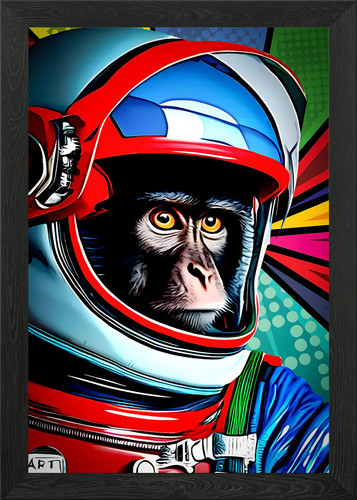 Space monkey framed wall - 2,
