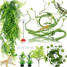 Bearded Dragon Terrarium Vines