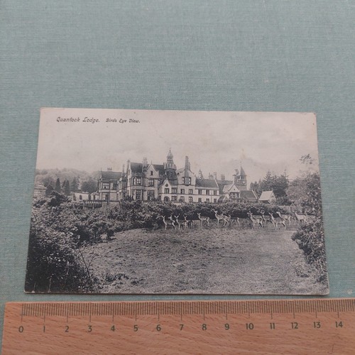 Vintage postcard quantock - vintage,