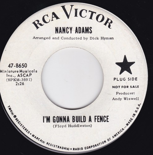 Jazz nancy adams - jazz, /