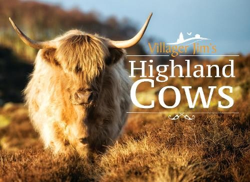 Villager jim highland cows - jim's,