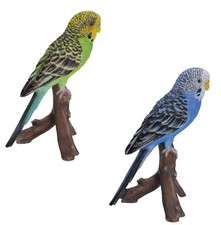Budgerigar Budgie - Lifelike