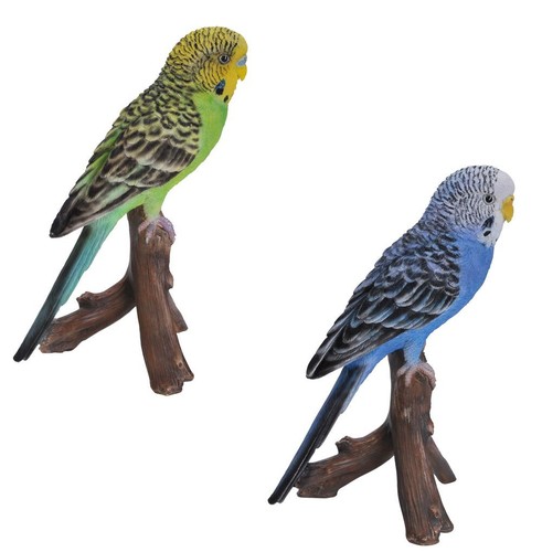 Budgerigar budgie lifelike - budgerigar,