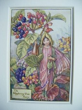 Vintage Flower Fairies & Mount