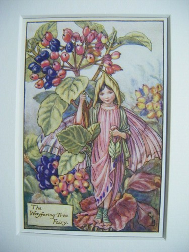 Vintage flower fairies - fairies, mount