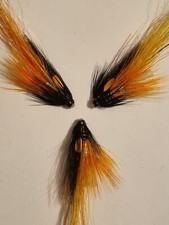 3 x Pot Bellied Pig Cascade