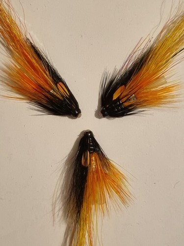 Pot bellied pig - pig, cascade
