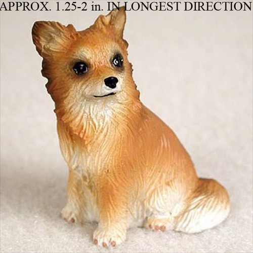 Chihuahua mini hand - chihuahua,
