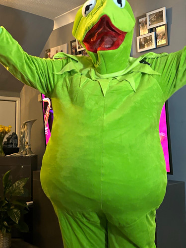 Green frog full body - frog, full-body