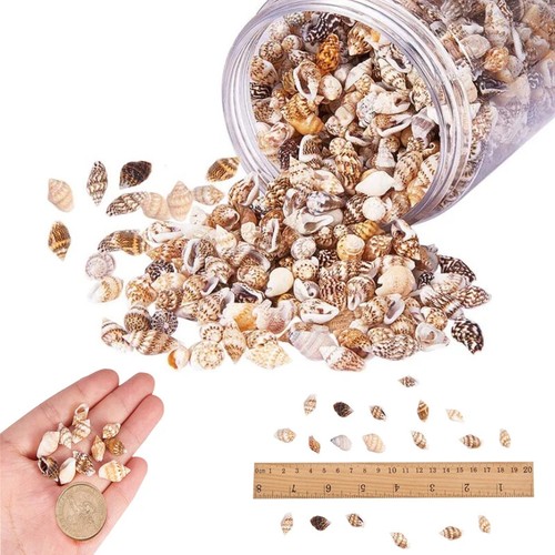 100pcs small sea shells - small,