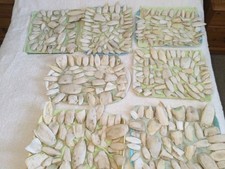 Cuttlebone for Birds, Fish And Reptiles. Unbleached & Natural, Small Pieces