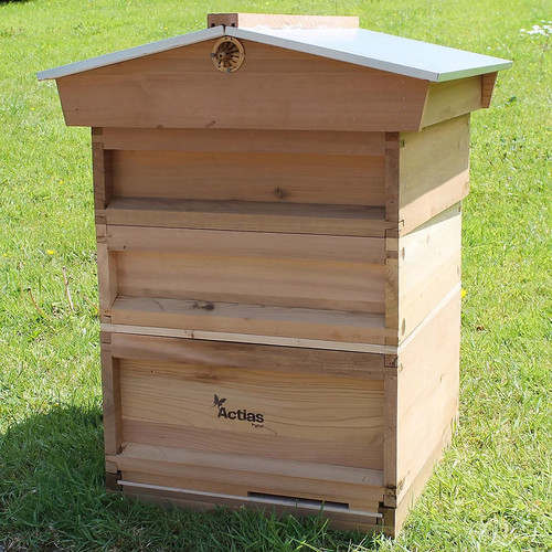 Easibee national bee hive - easibee,