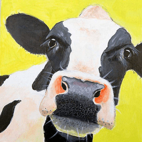 Cow close colorful wall - up, art