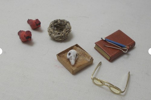 Dolls house mini collector - dolls,