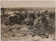 WW2 Original Press Photo Camouflaged British Anti-Tank Gun At Tobruk 1941 #E1