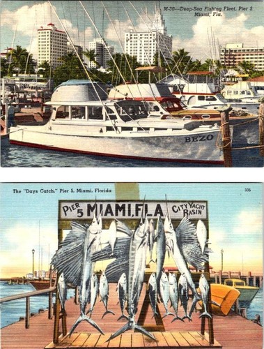 Postcards miami florida - 2~postcards,