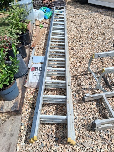 Triple extension ladder - triple,