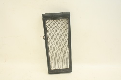 Radiator cover guard grill