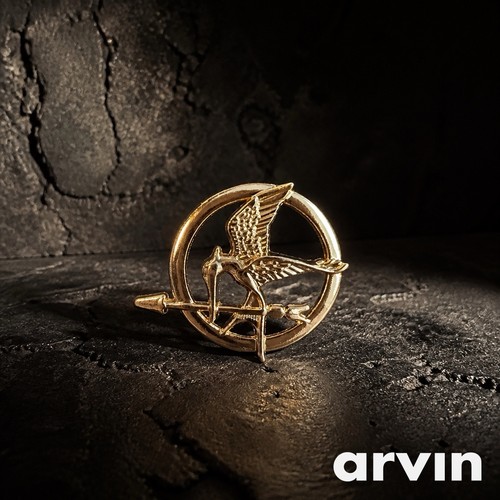 Hunger games mockingjay pin - games,