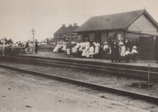 Essex Postcard - Tollesbury