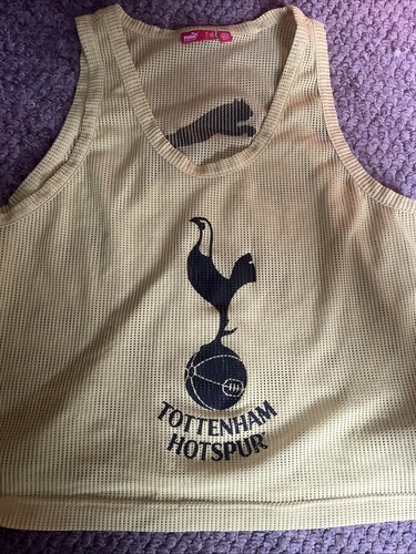 Tottenham hotspur training bib - hotspur,