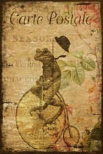 Frog & Penny Farthing Bike