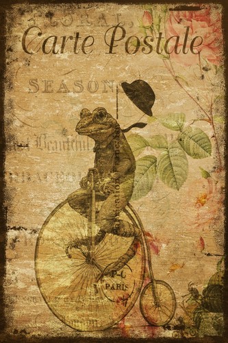 Frog penny farthing bike - frog,