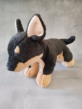 Doberman Pinscher Black & Tan