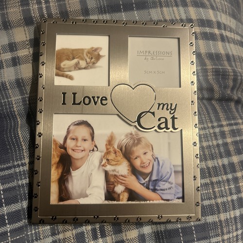 Best breed picture - best, frame