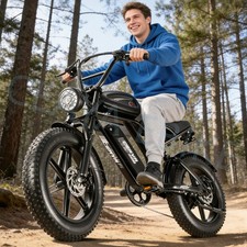Fat tire electric - 20'',