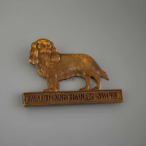 Cavalier king charles - king, spaniel