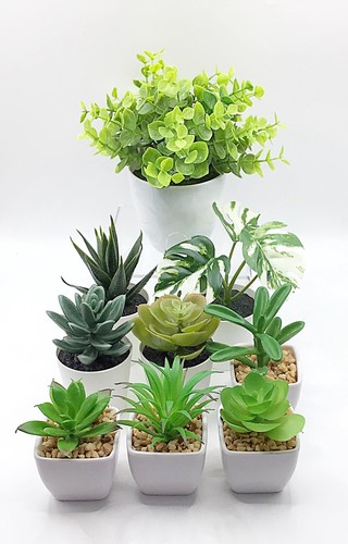 Artificial mini plants - artificial,